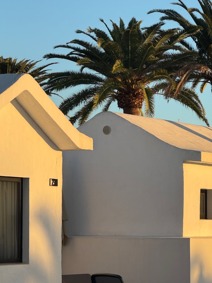 White villas under palm trees in the Canary Islands during sunset.